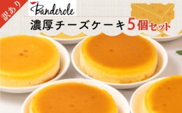 【ふるさと納税】訳あり 濃厚 チーズケーキ 5個 セット 冷凍 工場直売 アウトレット スイーツ シェア 