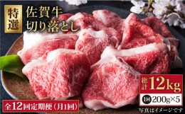 【ふるさと納税】【全12回定期便】佐賀牛 切り落とし 1kg  ( 200g×5パック ) 【肉の三栄】 [HAA082] 佐賀牛 切り落とし 小分け 牛肉 定