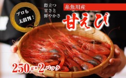 【ふるさと納税】【プロも太鼓判！】糸魚川産『甘エビ』500g（250g×2パック）約35尾 際立つ甘さと鮮やかさ 鮮度抜群 日本海直送 新潟 