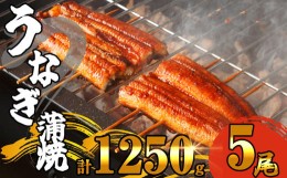 【ふるさと納税】ふっくら肉厚 有頭 うなぎ蒲焼 5尾 1250g SF011-2　〜関連キーワード 鰻 訳あり 訳あり商品 特大 小分け 真空包装 ウナ