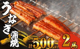 【ふるさと納税】ふっくら肉厚 有頭 うなぎ蒲焼 2尾 500g SF010-2 〜関連キーワード 鰻 訳あり 訳あり商品 特大 小分け 真空包装 ウナギ 