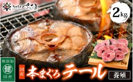 【ふるさと納税】国産 本まぐろ テール 2kg まぐろの王様！引き締まった身に旨味が凝縮 ステーキや煮物に コラーゲンたっぷり！【 鮪 マ