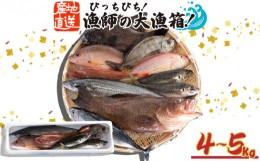 【ふるさと納税】魚 鮮魚 ボックス 4kg〜5kg 旬 鮮度 抜群 おまかせ 詰め合わせ 海鮮 魚介 新鮮 高知県 須崎市 MT005