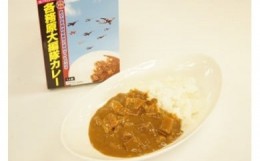 【ふるさと納税】26 各務原大編隊カレー　１０箱セット