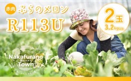 【ふるさと納税】ふらのメロンR113U（赤肉）2玉入り