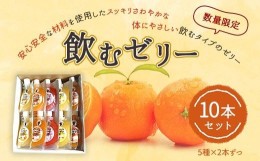 【ふるさと納税】飲むゼリー 10本セット（5種類×2本）果汁50% 柑橘 数量限定