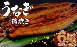 【ふるさと納税】うなぎ 蒲焼 肉厚 養殖 鰻  120g〜140g 6尾 セット ふっくら 香ばしい 頭付き 鰻 手焼き 蒲焼 タレ付き ふっくら 香ばし