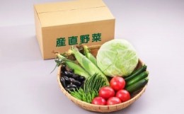 【ふるさと納税】06A3010B　天童産・産直野菜の詰め合わせ(8月分)