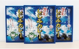 【ふるさと納税】004茨城町産しじみカレー３パックセット