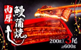 【ふるさと納税】うなぎ 蒲焼 肉厚 鰻 600g ( 200g×3尾 セット ) ふっくら 香ばしい 頭付き 鰻 手焼き 蒲焼 タレ付き ふっくら 香ばしい