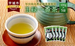 【ふるさと納税】くまモン 玉緑一番茶 100g×5袋セット 緑茶 日本茶 一番茶
