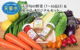 【ふるさと納税】S047-001_天草旬の野菜(7〜10品目)＆加工品 オリジナルセット