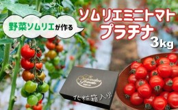 【ふるさと納税】ソムリエミニトマト・プラチナ ( 3kg ) | 野菜 やさい トマト とまと ミニトマト みにとまと 熊本県 玉名市