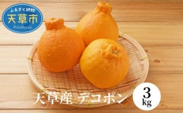 【ふるさと納税】S053-002_天草産 デコポン 3kg〈先行受付〉