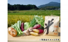 【ふるさと納税】（冷蔵） 夏野菜のおまかせ 8種類 詰め合わせ と お米 （ひのひかり） 3kg セット ／ 奥野ファーム大和 季節野菜 特産品