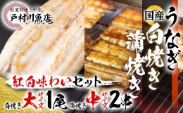 【ふるさと納税】＜紅白味わいセット＞国産うなぎの白焼き大1匹・蒲焼き中2串《戸村川魚店》【1039046】