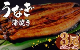 【ふるさと納税】肉厚 うなぎ の 蒲焼き 120g ~ 140g × 3尾 自家製 タレ 10個 セット 頭付き 鰻 手焼き 蒲焼 タレ付き ふっくら 香ばし