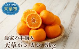 【ふるさと納税】S040-006_農家の手摘み天草ポンカン 約5kg〈先行受付〉