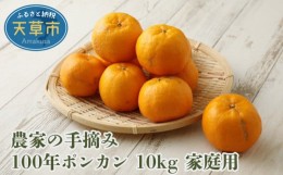 【ふるさと納税】S040-009_農家の手摘み100年ポンカン 約10kg 家庭用〈先行受付〉