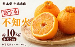 【ふるさと納税】訳あり品 恋する 不知火 約10kg（40玉前後）御舩果樹園 果物 柑橘