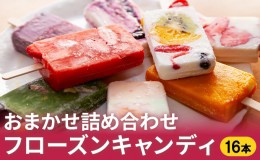 【ふるさと納税】フローズンキャンディ おまかせ 詰め合わせ 16本セット《パティシエ手作り アイス》