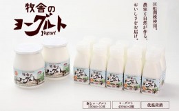 【ふるさと納税】年間20万人が来店 搾りたて牛乳で作る 「松ぼっくり」 飲むヨーグルト10本と食べるヨーグルト2個 ／ ヨーグルト セット 