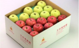 【ふるさと納税】06D0376　りんご(サンふじ&黄色のりんご)10kg