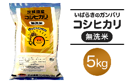 【ふるさと納税】151 茨城県産無洗米コシヒカリ5kg