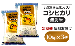 【ふるさと納税】158 【3ヵ月連続お届け】茨城県産無洗米コシヒカリ10kg