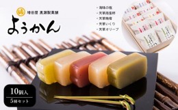 【ふるさと納税】天草の宝石 ようかん 10個入 | 菓子 お菓子 和菓子 スイーツ 羊羹 海味の塩ようかん 天草南蛮柿ようかん 天草晩柑ようか