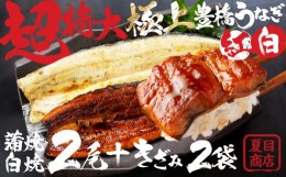 【ふるさと納税】豊橋うなぎ 長蒲焼と長白焼（特大2尾）+ 蒲焼きざみ（50g）x2 セット 国産うなぎ 食べ比べ 愛知県 うなぎ 鰻 惣菜