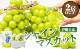 【ふるさと納税】《化粧箱入り》 シャインマスカット 約1.1kg（2房）