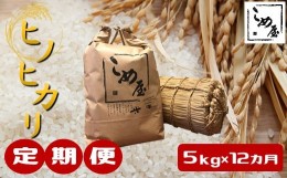 【ふるさと納税】【定期便12回】 熊本県産 「 ヒノヒカリ 」 5kg × 12カ月 | 米 こめ お米 おこめ 白米 精米 ひのひかり 熊本県 玉名市