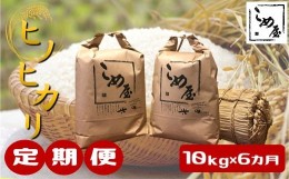 【ふるさと納税】【定期便6回】熊本県産 「 ヒノヒカリ 」 10kg × 6カ月 | 米 こめ お米 おこめ 白米 精米 ひのひかり 熊本県 玉名市 定