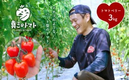 【ふるさと納税】ミニトマト 生産量 日本一 玉名市 !! トマトベリー 約 3kg ｜ 野菜 トマト プチトマト 希少 熊本 玉名 くまもと たまな