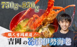 【ふるさと納税】朝獲れ 伊勢海老 750g 〜 850g 急速 冷凍 産地直送 須崎 高知 海鮮 魚介類  お正月 お祝い イセエビ IKY018