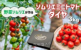【ふるさと納税】ソムリエミニトマト・ダイヤ(3kg)