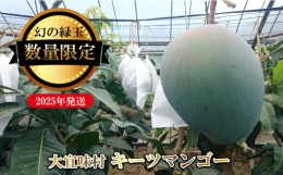 【ふるさと納税】幻の緑玉　大宜味村キーツマンゴー【数量限定・2024年発送】