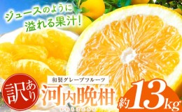 【ふるさと納税】訳あり 河内晩柑 約 13kg 後藤農園 | 柑橘 みかん フルーツ 家庭用 和製 グレープフルーツ 果物 熊本県産