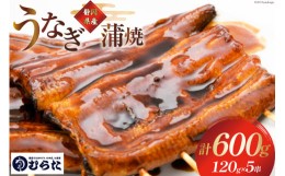 【ふるさと納税】うなぎ 国産 炭火焼 肉厚 蒲焼 120g ×5尾 計600g [村田商店 静岡県 吉田町 22424192] 鰻 ウナギ 炭火焼き 炭火 蒲焼き 