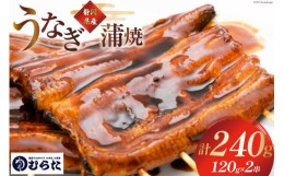 【ふるさと納税】うなぎ 国産 炭火焼 肉厚 蒲焼 120g ×2尾 計240g [村田商店 静岡県 吉田町 22424191] 鰻 ウナギ 炭火焼き 炭火 蒲焼き 