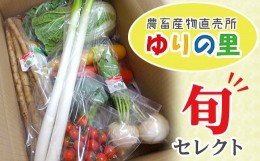 【ふるさと納税】野菜の詰め合わせ／袖ケ浦市農畜産物直売所 ゆりの里 厳選