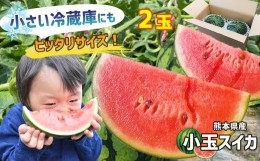 【ふるさと納税】スイカ 王国 熊本 ！ 小玉 すいか 2玉 熊本県産 果物  西瓜 フルーツ 【 4月 〜 6月 発送 】 | くだもの 小玉スイカ 小