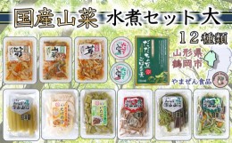 【ふるさと納税】国産山菜水煮セット【大】B01-451