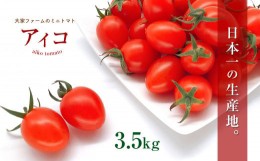 【ふるさと納税】『大家ファーム』 のミニトマト アイコ 3.5kg ｜ 野菜 やさい とまと トマト ミニトマト アイコ 熊本県 玉名市