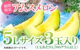 【ふるさと納税】益田産アムスメロン　特大5Lサイズ（3玉入り）【先行予約 数量限定 期間限定 季節限定 早期予約 果物 くだもの フルーツ