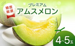 【ふるさと納税】【先行予約】糖度厳選プレミアム アムスメロン 4玉〜5玉【先行予約 糖度16度以上 メロン 果物 くだもの フルーツ 季節限