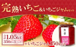 【ふるさと納税】【農家直送！】完熟いちご（350g×3パック）・いちごジャムセット（150g）【先行予約 果物 フルーツ 苺 いちご イチゴ 