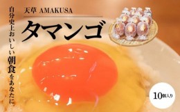 【ふるさと納税】S038-004_天草 タマンゴ 10個 卵