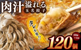 【ふるさと納税】タレ不要？ 肉汁 溢れる『 玉名餃子 』 120個 （30個×4袋）| 餃子 ぎょうざ お手軽 小分け 冷凍 冷凍食品 おかず 豚肉